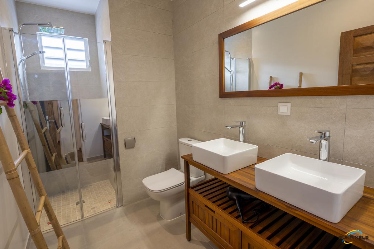 salle-de-bain-moderne-villa-anses-darlet- sdb3